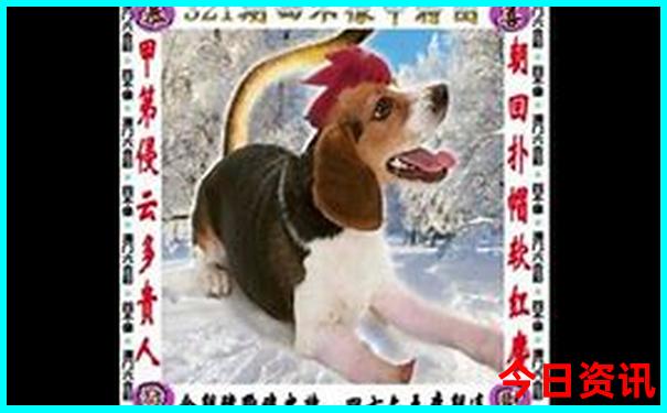 带孩子看海玩沙子去哪里好